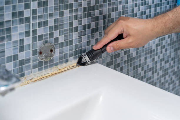 Best Best Mold Removal Companies  in Enetai, WA